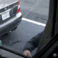 Season 19 Nbc GIF by Law & Order