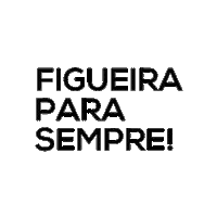 EstudioGarapuvu soccer futebol fernandes figueira Sticker