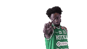 Sport Basketball Sticker by Basket_fi