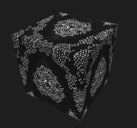 Illustration Box GIF