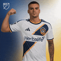 La Galaxy Power GIF by Major League Soccer