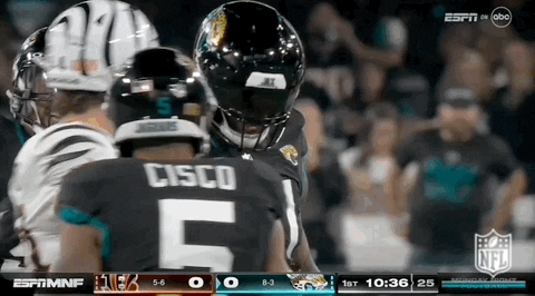 Jacksonville Jaguars Football GIF by NFL
