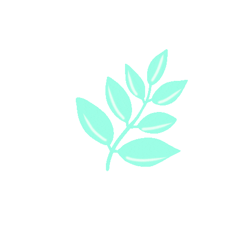 Verde Brillo Sticker
