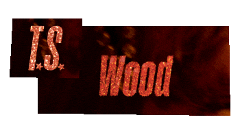 Show Business Glitter Sticker by Taylor Swift