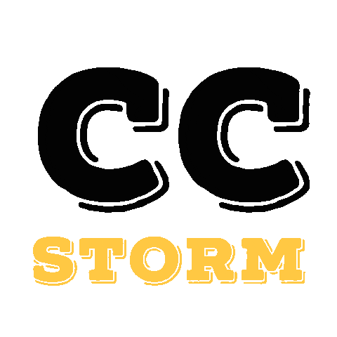 Cheer Storm Sticker by Chiltern Cheetahs