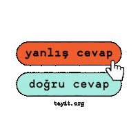 Facts Checkmark Sticker by Teyit