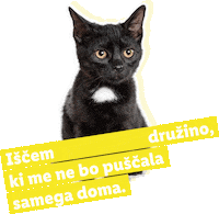 Mucek Sticker by Lidl Slovenija
