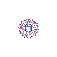 Fireworks Sticker by Baltimore Country Club