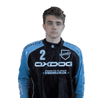 Floorball Sticker by Florbal Ústí