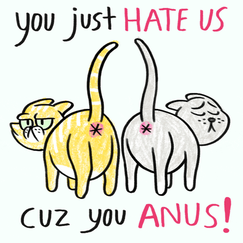 Cats Squad GIF by Studios 2016