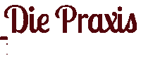 DiePraxisWunstorf hannover physiotherapy physiotherapie farbe Sticker