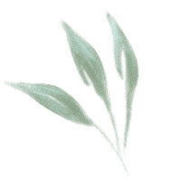 Happy Flowers Sticker by Lug