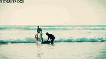 surfing goats GIF by Cheezburger