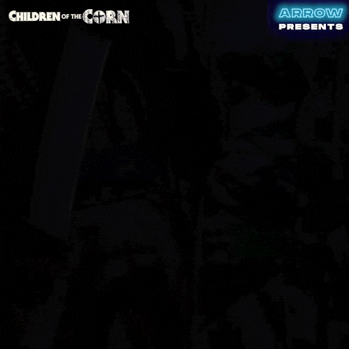 Im Ready Lets Go GIF by Arrow Video