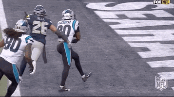 Carolina Panthers Football GIF by NFL