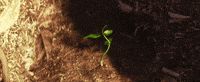 wall-e spring GIF by Disney Pixar