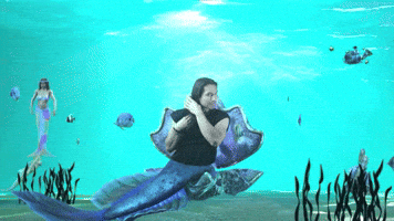 Under the Sea!