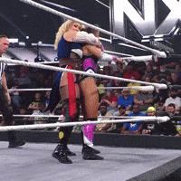 Wwe Wrestling GIF