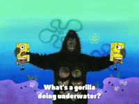 season 3 GIF by SpongeBob SquarePants