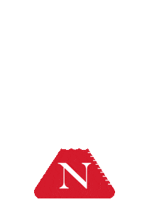 Nuexperience Sticker by Northeastern University