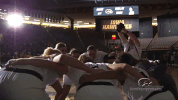 Iowa Hawkeyes GIF by University of Iowa Hawkeyes Athletics