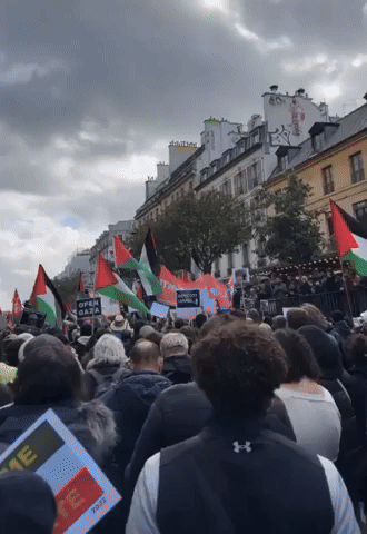 Thousands Rally in Pro-Palestine March in Paris