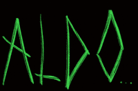 South Of France Aldo GIF by Marcel Katz / The Art Plug