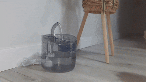 IVIR giphyupload perros fuente wipi GIF