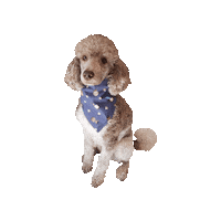 Live Long And Prosper Star Trek Sticker by Geekster Pets