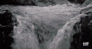 Movie Kiss GIF by TIFF