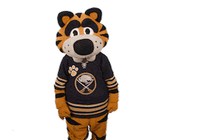 Ice Hockey Sticker by NHL