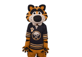 Swipe Up Ice Hockey Sticker by NHL