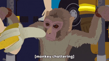 monkey banana GIF by South Park 
