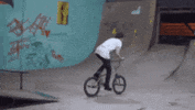 GIF by Greenplace TV