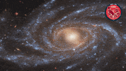 Universe Galaxy GIF by ESA/Hubble Space Telescope