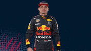 Ver Red Bull GIF by Red Bull Racing Honda