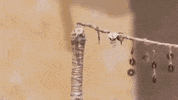 the blade GIF by Warner Archive