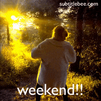 Friday Holiday GIF by SubtitleBee