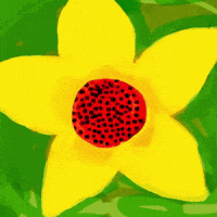 Happy Day Love GIF by Barbara Pozzi