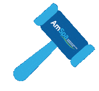 law gavel Sticker by AmericanMedSpaAssociation