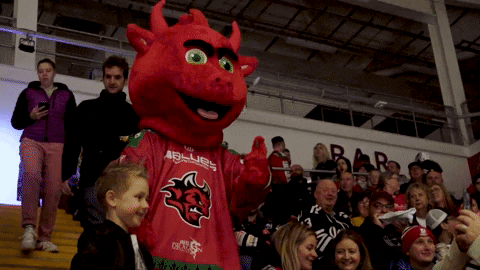 Ice Hockey GIF by Cardiff Devils
