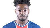 France What Sticker by Paris Saint-Germain Handball