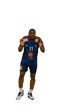France Ffhandball Sticker by Fédération Française de Handball
