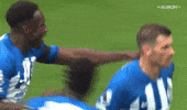Football Brighton GIF