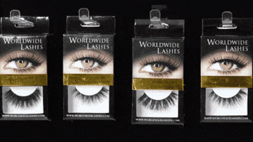 WorldwideLashes beauty makeup mua makeup artist GIF