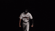 University Of Louisville Baseball GIF by Louisville Cardinals