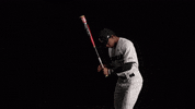University Of Louisville Baseball GIF by Louisville Cardinals