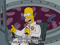 homer simpson ok GIF