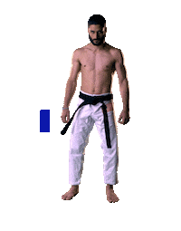 blackbelt Sticker by Karate Combat