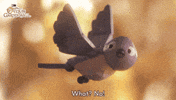 Stop Motion No GIF by Cartoon Network